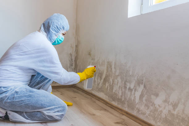 Licensed Bathroom Mold Removal service in White Plains, NC - WQB Mold Removal