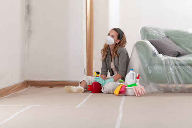 Reliable Bathroom Mold Removal contractor in White Plains, NC by WQB Mold Removal